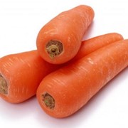 Морковь, Морковь