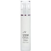 Омолаживающий крем-фактор обновления клеток на основе стволовых клеток яблок 24-часового действия. Stem Cell DNA Herba Cream от Creative Natur Cosmetic CNC