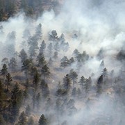 Беспилотный мониторинг лесных пожаров фото