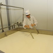Линия для производства белых сыров: моцарелла, фета, брынза TESSA, оборудование для производства сыра, купить, Киев фото