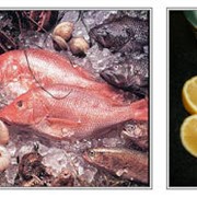 Рыбная промышленность, производство и переработка рыбы