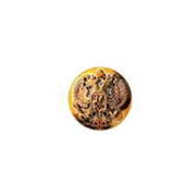 Пуговица с гербом РФ 14 мм золотого цвета без ободка фото