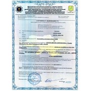 Сертификация автотранспорта: автомобилей, мотоциклов. фото