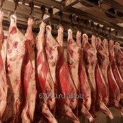 Мясо свинины Охлажденное фото