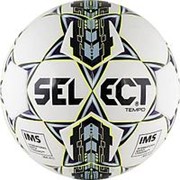 Мяч футбольный Select Tempo арт.810416-003 р.5