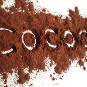 Какао-порошок алкализованный фото