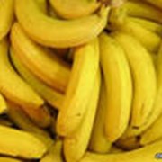 Бананы. фото