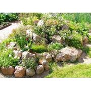 Дизайн архитектурных форм альпийских горок фото