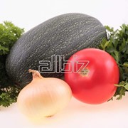 Овощи и плоды фото