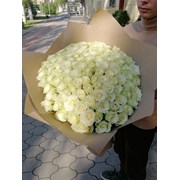Белые розы фотография