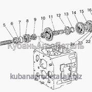 Купить Подшипники В Кпп Мтз 80