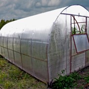 Теплица Интер фото