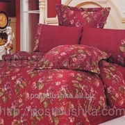 Комплект постельного белья жатка Le Vele ELIZA CLARET фотография