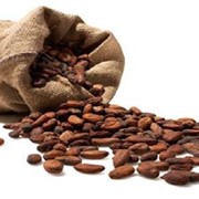 Какао продукты для кондитерского производства фото