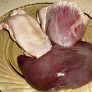 Мясо и субпродукты со скотобоен и птицебоен , субпродукты Казатин Украина фото