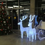 Новогоднее оформление от The BOSS. Ташкент фото