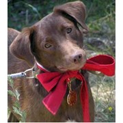 Тренинги фото