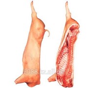 Мясо свинины туши и полутуши 1 категории фото