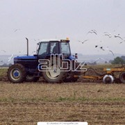 Тракторы колесные с/х фото