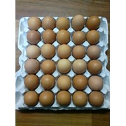 Продам яйцо куриное С0, С1, С2, С3 оптом фото