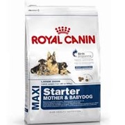 Maxi Starter M&B Royal Canin корм для щенков и сук, Пакет, 4,0кг фотография