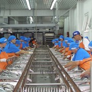 Производство рыбных консервов фотография