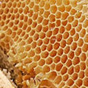 Мед гречневый, цветочный фото