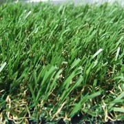 Трава GG-2-25 с въющимся ворсом