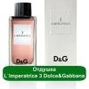 Отдушка L`Imperatrice 3 Dolce&Gabbana - 1 литр фотография