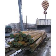 Опора ЛЭП деревянная пропитанная 6 метров. Новосибирск