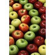 Summer and winter fresh apples Discovery Golden DeliciousIdared and Simirenco. фото