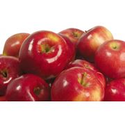 Яблоки мелкоплодные фотография
