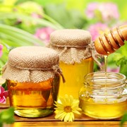 Мед гречишный, мед подсолнечника, акации меда, белый мед фото