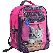 Школьный рюкзак 'Отличник' 0058070 розовый с синим кот фото