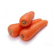 Грин Тим, Морковь столовая, весовая, сетка, 10 кг мытая фото