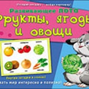 Развивающая лото с загадками "Фрукты, ягоды и овощи", Рыжий кот, ИН-8142