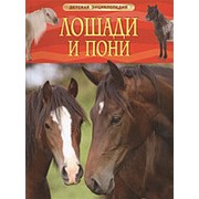 Лошади и пони. Детская энциклопедия, Росмэн, А4, 22220