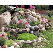 Альпийские горки фото