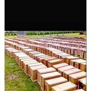 Ящики для пчелопакетов фото