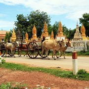 Туры в Камбоджу. фото