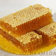 Мёд из степного разнотравья фото