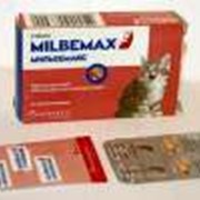 MILBEMAX для котят