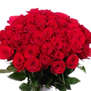 Букет красных роз 70 см фото