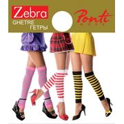 Плотные гетры ZEBRA фото