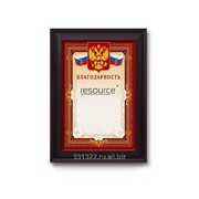 Благодарственное письмо Премиум фото