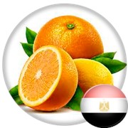 Апельсины производства Египет,Греция,ЮАР,Кипр,Турция