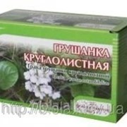 Грушанка круглолистная трава 30г фото