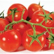 Паста томатная 25%.Приправы для мясного заливного фото