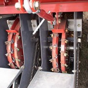 Машина для посадки лука-севка (чеснока) МПЛС фото