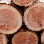Закупка леса, древесины